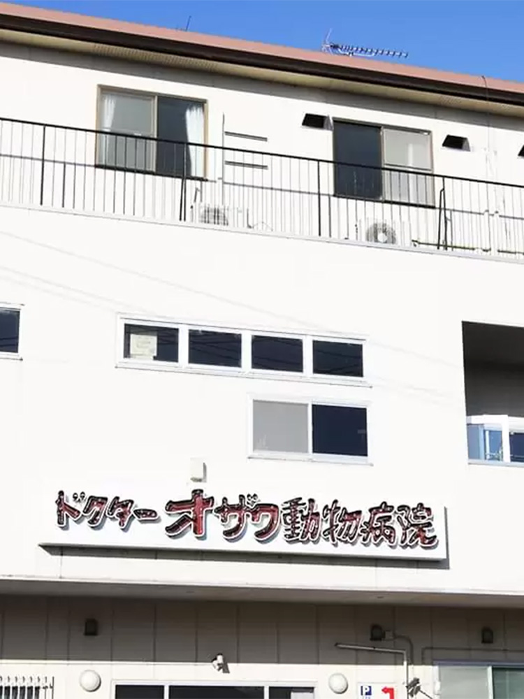 ドクターオザワ動物病院