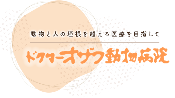 動物と人の垣根を超える医療を目指して